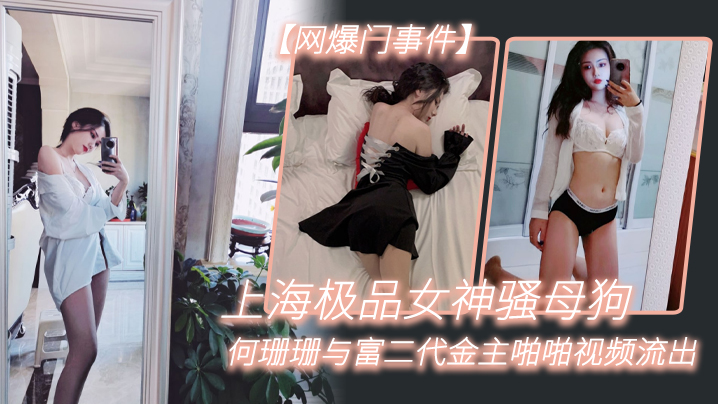 上海骚母狗何珊珊被富二代金主爆操内射流出狂野视频
