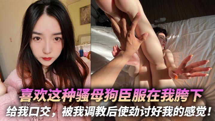 骚母狗臣服胯下口交调教，爆操到疯狂讨好舔穴海报剧照